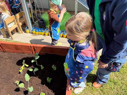 Gemüsebeet KIDS Aktion von Scheck-in